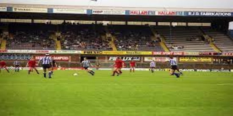 调查：司法抗争的35年艰难历程 — 爱游戏体育